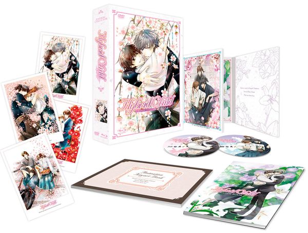 Hybrid Child - Intégrale - Collector - Coffret Combo DVD + Blu-ray