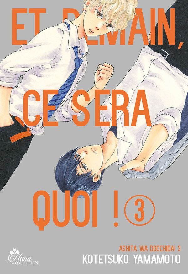 Et demain ce sera quoi ! - Tome 03 - Yaoi - Hana
