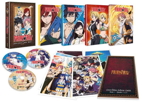 Fairy Tail - Partie 1 - Nouvelle édition Collector - Coffret A4 DVD