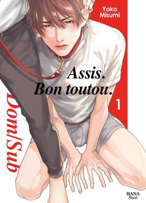 Assis. Bon toutou - Tome 01 - Yaoi - Hana Book